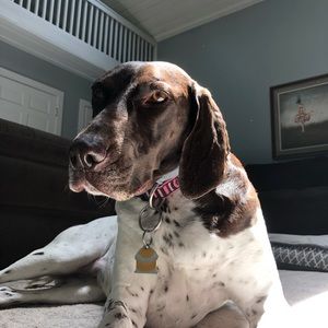 Meet your Posher, Scarlet